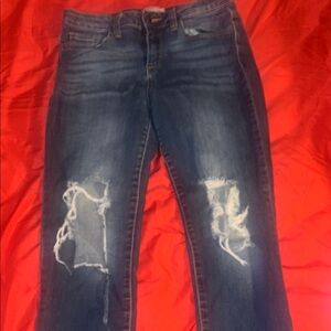 Cello Skinny Blue Jeans with Distressed Accents